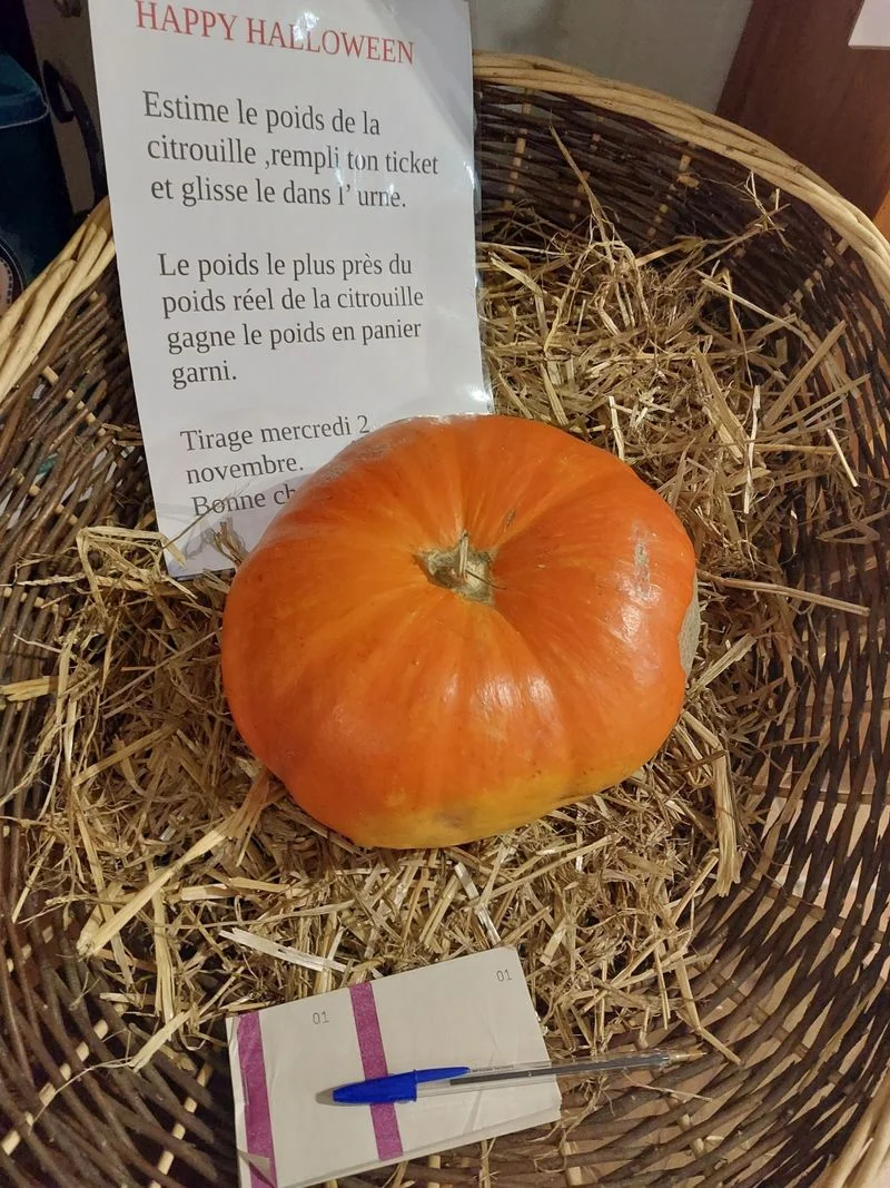 Concours Halloween 2022