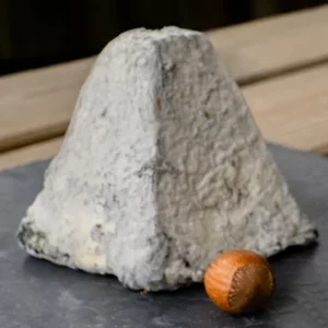 Petite pyramide cendrée - Fromage de chèvre