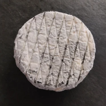 Rond cendré - Fromage de chèvre
