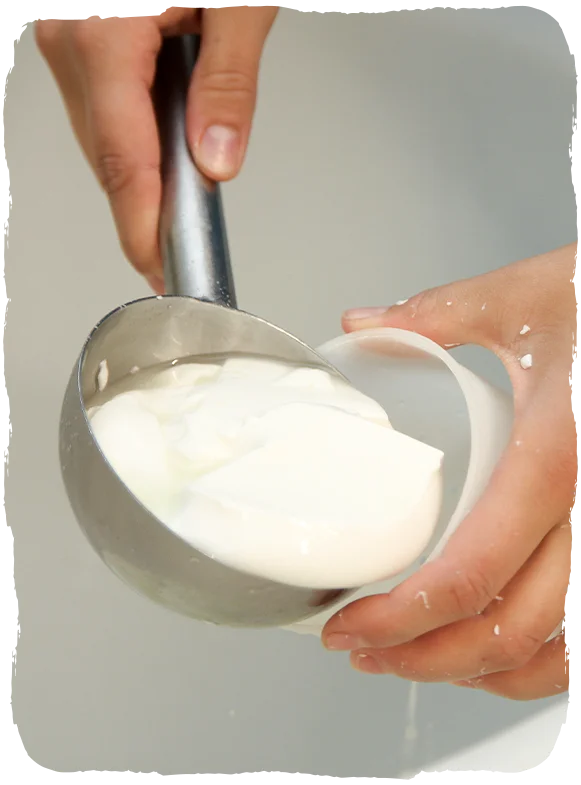 Illustration du moulage d'un fromage de chèvre Illustration du moulage d'un fromage de chèvre