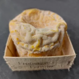 Langres fermier - Fromage au lait cru de vache