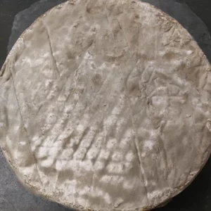 Saint Nectaire fermier bio