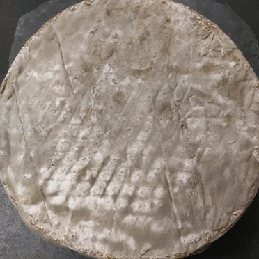 Saint Nectaire fermier bio